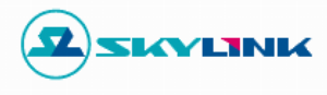 SkyLink